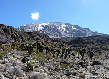 Marangu-Route-Mount-Kilimanjaro