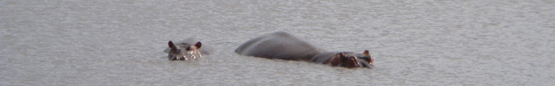 Tanzania