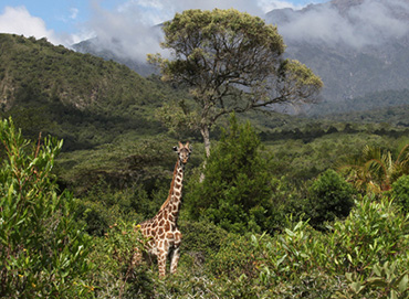 Arusha-National-Park-Closer